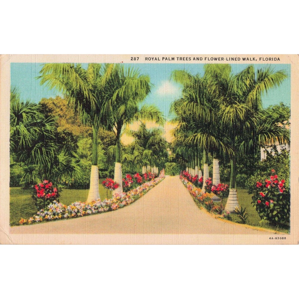 Vtg 1939 Florida Royal Palm Trees Flower-Lined Walk Linen Postcard Curt Teich - Picture 1 of 2